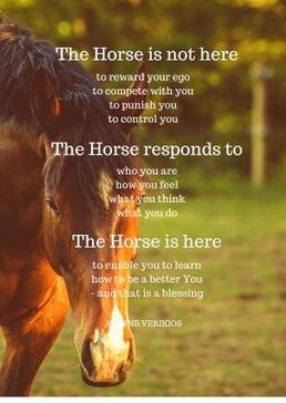 The horse is not here poem by Joanne Verikios